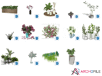 3D Plant Pack SKP Component for Designers