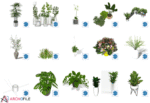 Plant Pack SKP Component - SketchUp 3D Model