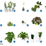 Plant Pack SKP Component - SketchUp 3D Model